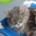 Melvin December 2013